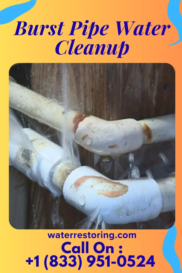 Burst Pipe Water Cleanup in Westminster, SC