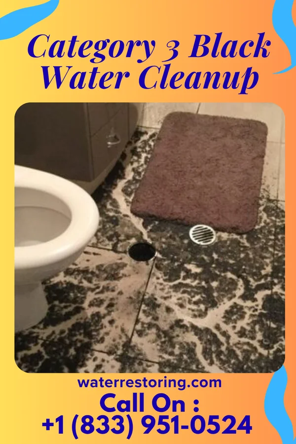 Category 3 Black Water Cleanup in Westminster, SC