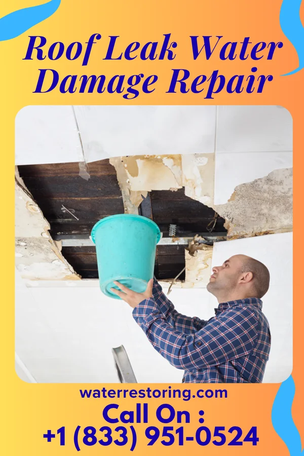 Roof Leak Water Damage Repair in Westminster, SC