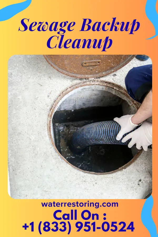 Sewage Backup Cleanup in Westminster, SC