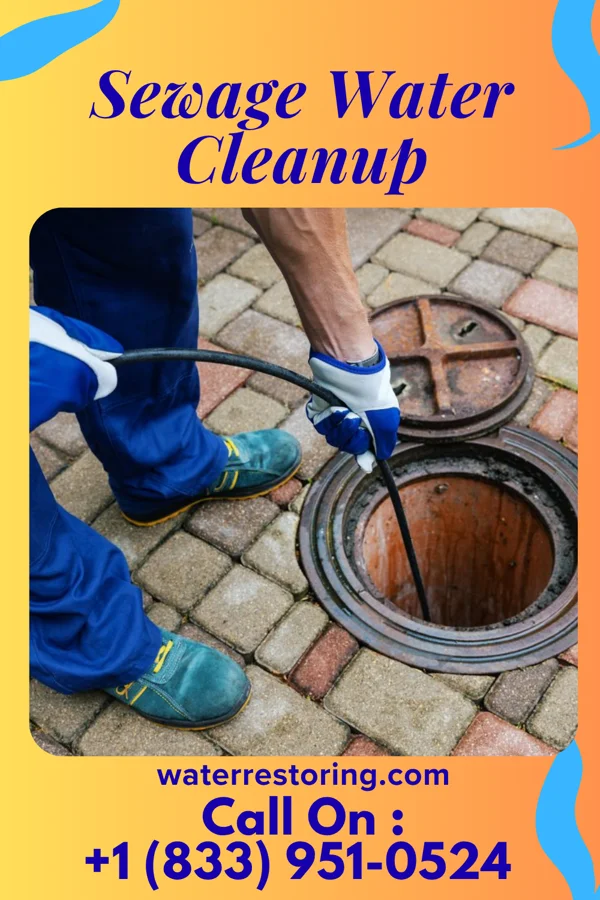 Sewage Water Cleanup in Westminster, SC