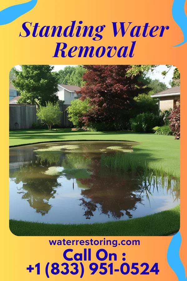 Standing Water Removal in Westminster, SC